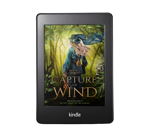 Capture the Wind - ebook image 0
