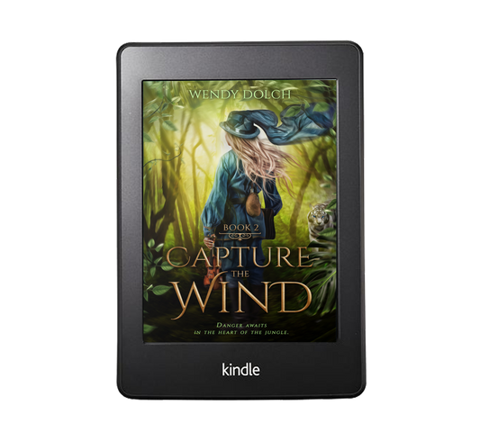 Capture the Wind - ebook image 0
