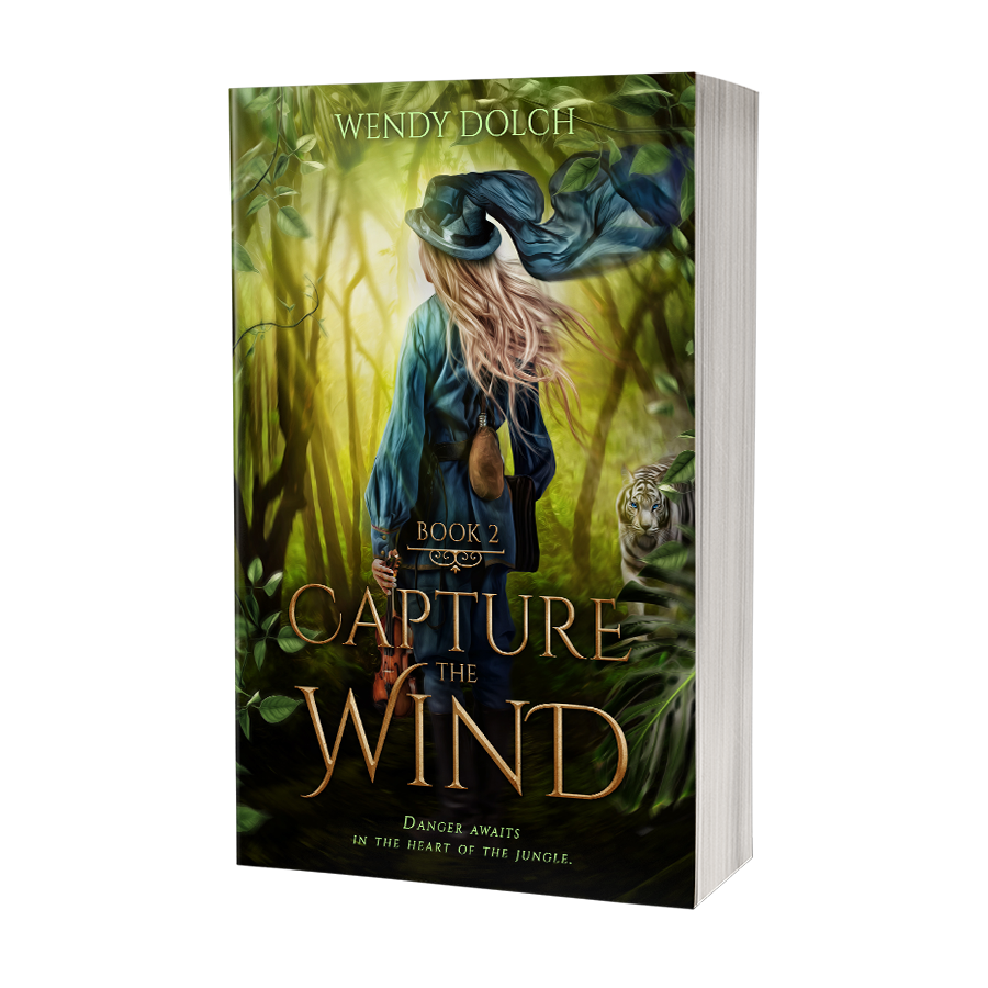 Capture the Wind - Paperback image 0